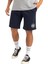 Cırcle Back Short 1