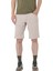 Wayfarer Shorts M 1