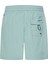 Performance Hybrıd Short 2