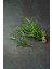 40 Gram Doğal Taptaze Biberiye Otu 40 Gr. Fresh Rosemary Dalından Evinize Taze 2