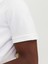 Jjemac Zip Ss Polo Sn Erkek T-Shirt 4