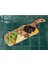 Zeytin Ağacı Kesme Tahtası Maryland Chopping Knife Serving Board 1