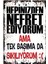 Hepinizden Nefret Ediyorum / Kamyon Arkası Duvar Yazıları Retro Ahşap Poster 1