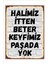 Retro Halimiz Itten Beter Keyfimiz Paşada Yok Anlamlı Duvar Yazıları Sözleri 20 x 30 Tablo 1