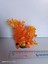 Akvaryum Plastik Bitki 11X9X6 cm M-405 1
