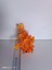Akvaryum Plastik Bitki 11X9X6 cm M-405 3
