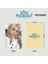 Stray Kıds '' Stay Hideout - Stay 4th Generation '' Photocards Set 2