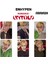 Enhypen Sunoo '' Romance : Untold '' Photocards Set 1