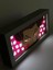 Hisoka 3D Anime Lightbox Işıklı Kutu Tablo 4