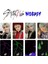 Stray Kıds Felix '' Noeasy '' Albüm Photocard Set 1