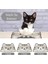 Evcil Hayvan Beslenme Matı Kedi Figürlü Su Emici Özellikli Yıkanabilir Kaymaz Kedi Köpek Mama Paspası 60X45CM 4