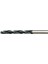 Kalıpçı Matkap Ucu Sds 12X600 1