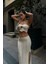 Mischa Cut Out Ajurlu Takım 9839 5