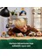 ® Horizon Adventures™ Aloy ve Varl, Metalkabuk ve Hızardiş’e Karşı 77037 - 9+ Yaratıcı Oyuncak Yapım Seti (768 Parça) 5