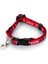 Yavru Kedi Tasma 23CM Kırmızı Ynsmr 2