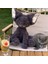 40 cm Süper Sevimli Devon Kıvırcık Kedi Kara Kedi Bebek Peluş Oyuncak (Yurt Dışından) 4