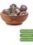 Top Yasemin Çayı(Jasmine Tea) 20 Adet 2