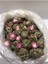 Top Yasemin Çayı(Jasmine Tea) 8 Adet 2