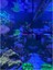 Aquanix Frag Tutucu 3