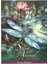 Yeşil Stil Buda Bilgelik Şakti Güç Oracle Tarot Kartları Oyunu ve Tarot Çantası - E-Ticaret Başlığı (Yurt Dışından) 1