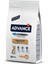 Dog Yorkshıre Terrıer 1,5 kg Ynsmr 1