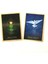 Sarı Stil Kader Falı Tahmin Oyunu Tarot ve Çeşitli Tarot Seçenekleri Için 45 Kartlı Gaia Oracle Kartları ve Pdf Kılavuzu (Yurt Dışından) 4