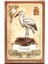 Tarot Masa Örtüsü Stili Yüksek Kaliteli Özel Stil Cla Yeni Lenormand Fal Kartları Tarot Kartları Popüler Stil Oracle Kartları Ile Rehber Kitaplı (Yurt Dışından) 5