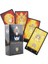 TLP06 Stili Peri Rider Waite Tarot Tam Ingilizce Pdf Rehberi Tarot Destesi Fal Talihi Solitaire Parti Satranç Oyunu Poker (Yurt Dışından) 1