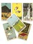 Sarı Stil 36 Kart Tarot Pixies'in Şaşırtıcı Lenormand Tahta Kart Oyunu Tarot ve Çeşitli Tarot Seçenekleri (Yurt Dışından) 5