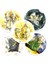 Yeşil Glifler Tarot Stili 78 Kart Hayat Çemberi Tarot Kartları Ingilizce Tarot Destesi Rehber Kitap Masa Oyunu Büyülü Kader Fal Oyunu Tarot (Yurt Dışından) 4