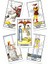 Çeşitli Çokyüzlü Stili 78 Kart Rus Versiyonu Rider Tarot Oracle Falcılık Satranç ve Kart Oyunu Tarot ve Çeşitli Tarot Seçenekleri (Yurt Dışından) 4