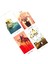 Oracle Stili 80 Kart Beyaz Numen Kutsal Hayvan Tarot Kartı Eğlence Parti Kartları Oyunu Tarot ve Çeşitli Tarot Seçenekleri (Yurt Dışından) 4
