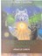 Siyah Stil 100 Tarot Orak Kartı Rider Tarot Eğlence Satranç ve Kart Oyunu Cennet Dünya Tarot ve Çeşitli Tarot Seçenekleri (Yurt Dışından) 1