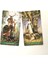 Stili Temizle 78 Kart Yeşil Cadı Tarot Oracle Kartları Kader Falı Hazine Avcısı Tarot ve Çeşitli Tarot Seçenekleri Için Pdf Rehberi (Yurt Dışından) 3