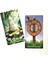 Stili Temizle 78 Kart Yeşil Cadı Tarot Oracle Kartları Kader Falı Hazine Avcısı Tarot ve Çeşitli Tarot Seçenekleri Için Pdf Rehberi (Yurt Dışından) 5