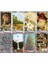 49CM Tarot Bezi Stili Rus Lenormand Oyun Kartları Kartlar Tarot Maya Waite Için Spiritüel Masa Oyunları Kehanet Destesi - E-Ticaret Başlığı (Yurt Dışından) 5