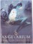 Kumral Tarzı Yeni Vizyon Tarot Ingilizce Versiyonu Oracle Fal Oyunu Destesi - E-Ticaret Başlığı (Yurt Dışından) 1