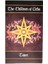 78 Adet TE039 Stili Romance Melekleri Tarot Oracle Kartları Destesi Doreen Virtue Nadir Basım Oyuncu Tahtası Deck (Yurt Dışından) 1