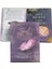 Çikolata Tarzı Ruh Gerçeği Oracle Tarot Kartları Rehberlik Kehanet Kader Tarot Destesi Oyunlar Türkçe Aile Hediye Parti Oynama Kart Oyunu (Yurt Dışından) 3
