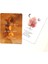 Siyah Stil Kader Falı Falcılık Kartları 52 Kart Oracle Tarot Kartları Aile Partisi Oyun Kartları Oyunu Türkçe E-Ticaret Başlığı (Yurt Dışından) 5