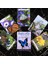 Kelebek Oracle Stili Cadının Mevsimleri Oracle Kartları Samhain Oracle Sıcak Satılık Rider Tarot Kartları Fal Bakımı Tarot Destesi (Yurt Dışından) 1