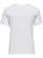 Dısney Lıfe Mınnıe Reg S/s Topbox Jrs Kadın T-Shirt 5