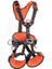 Ct Axess Qr Harness 1