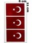 Bayrak Kol Bilek Geçici Dövme 2