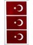 Bayrak Kol Bilek Geçici Dövme 3