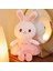 Peluş Oyuncak Bebek Kız Yastık Çocuk Doğum Günü Hediyesi Peluş Bebek (Yurt Dışından) 3