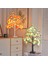 LED Huş Ağacı Yıldızlı Gökyüzü (Yurt Dışından) 2