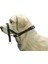 Beeztees Köpek Eğitim Tasması, Baş Kontrollu, Siyah, S 1
