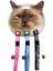 Kedi Boy. Tas. Çizgi DES.10MM28CM (3 Lü) Ynsmr 1