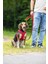 Beeztees Köpek Göğüs Tasması, Neopren, Kırmızı, M, 41-46CM 5